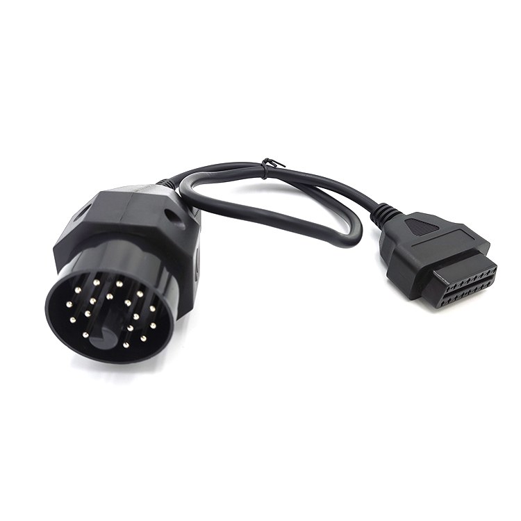 Sealed two-pin connector lead used in electric two-wheeler wiring harnesses
